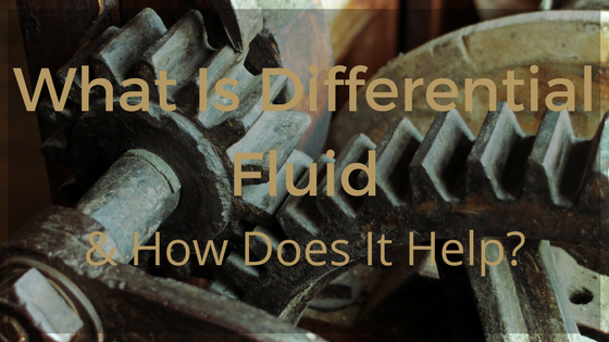 differential fluid